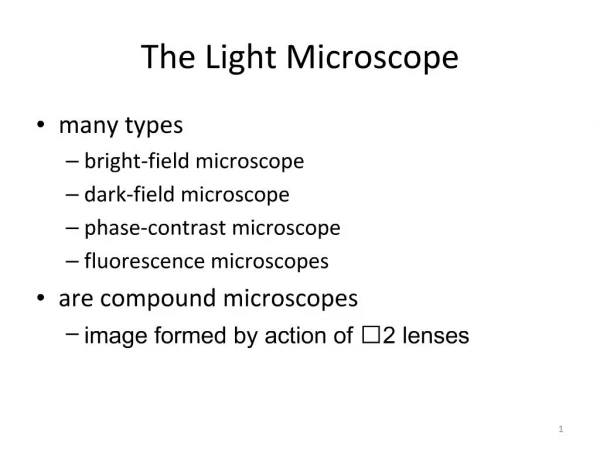 The Light Microscope