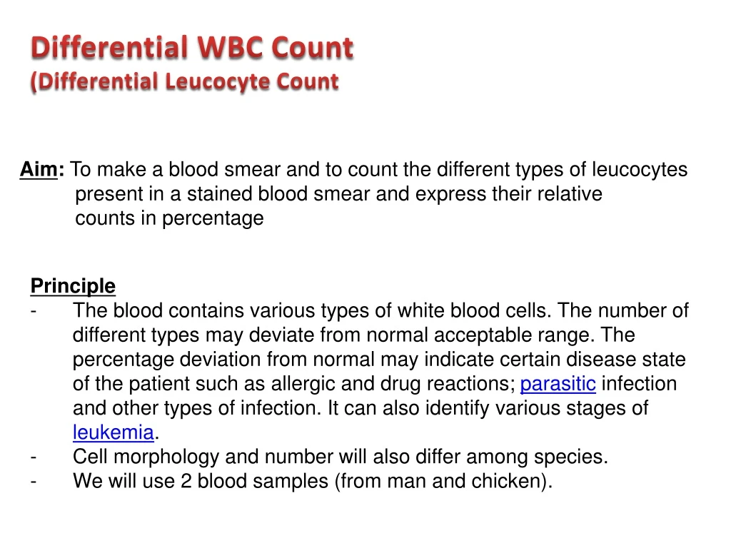 differential wbc count differential leucocyte