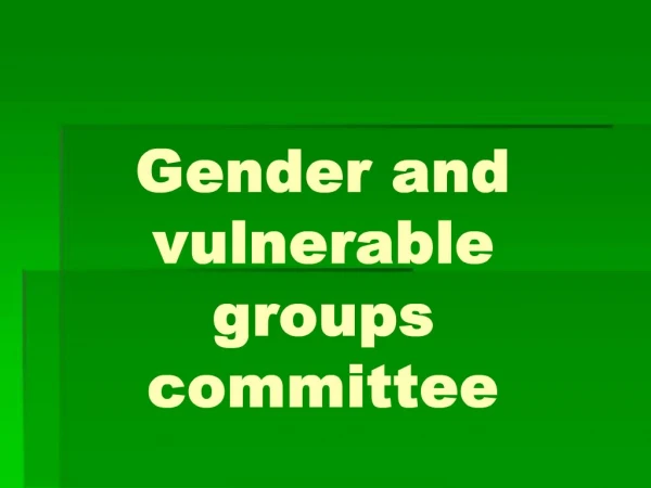Gender and vulnerable groups committee