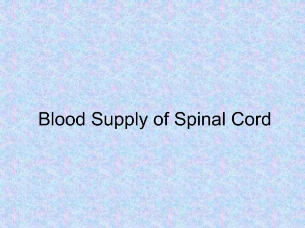 Blood Supply of Spinal Cord
