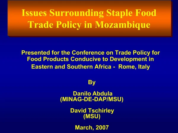 Issues Surrounding Staple Food Trade Policy in Mozambique