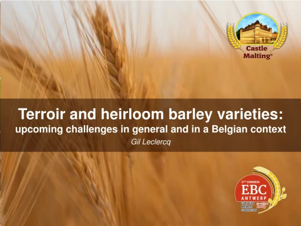 Terroir and heirloom barley varieties: upcoming challenges in general and in a Belgian context
