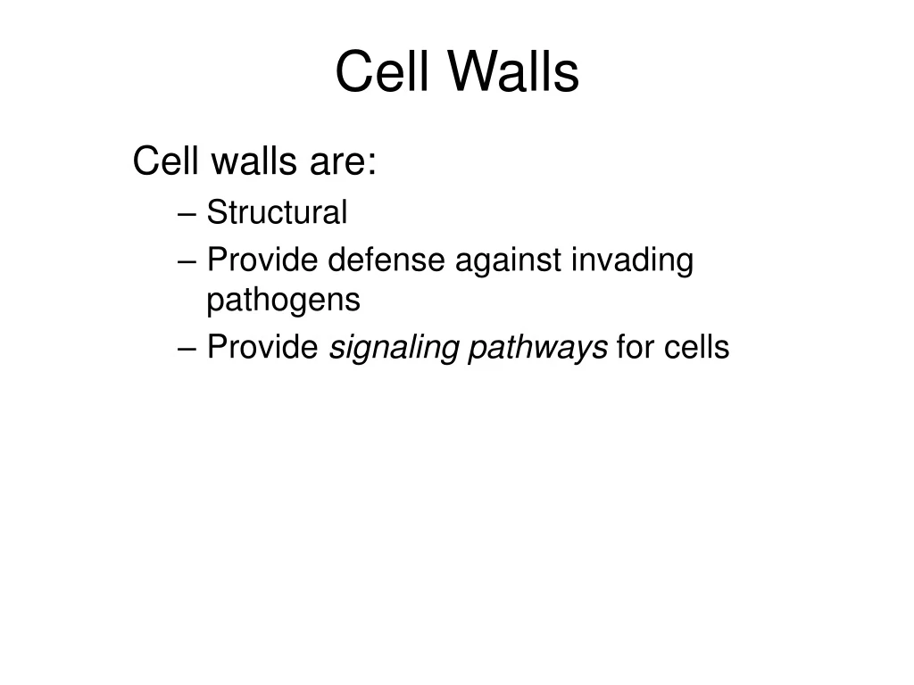 cell walls