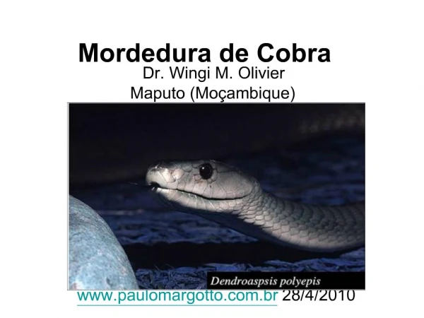 Mordedura de Cobra