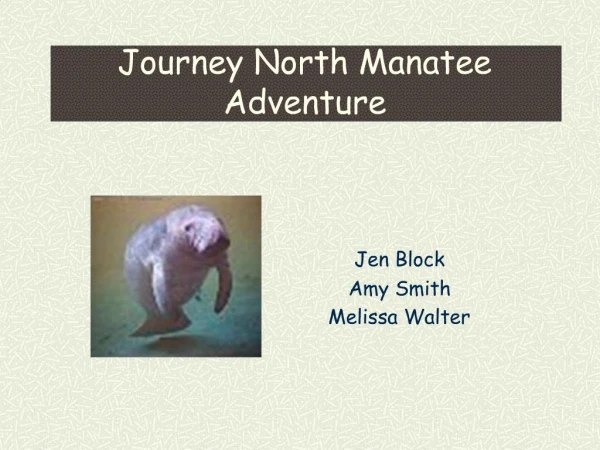 Journey North Manatee Adventure