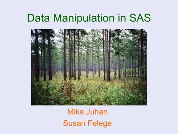 Data Manipulation in SAS