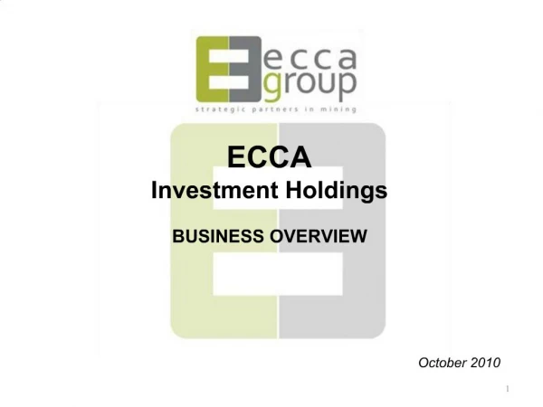 ECCA Investment Holdings BUSINESS OVERVIEW October 2010