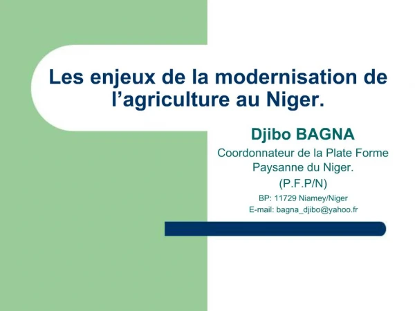 Les enjeux de la modernisation de l agriculture au Niger.