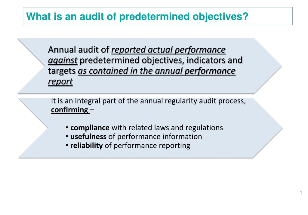 what is an audit of predetermined objectives