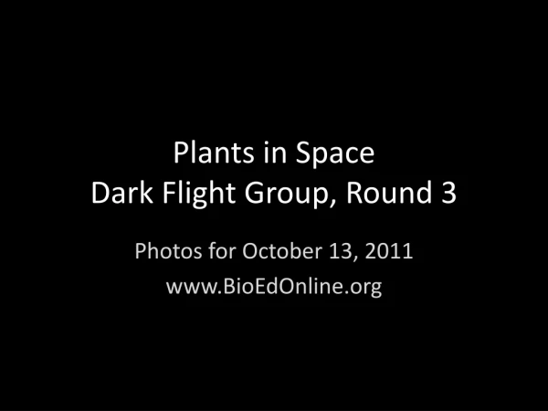 Plants in Space Dark Flight Group, Round 3