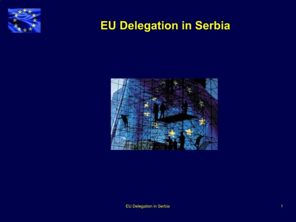 EU Delegation in Serbia