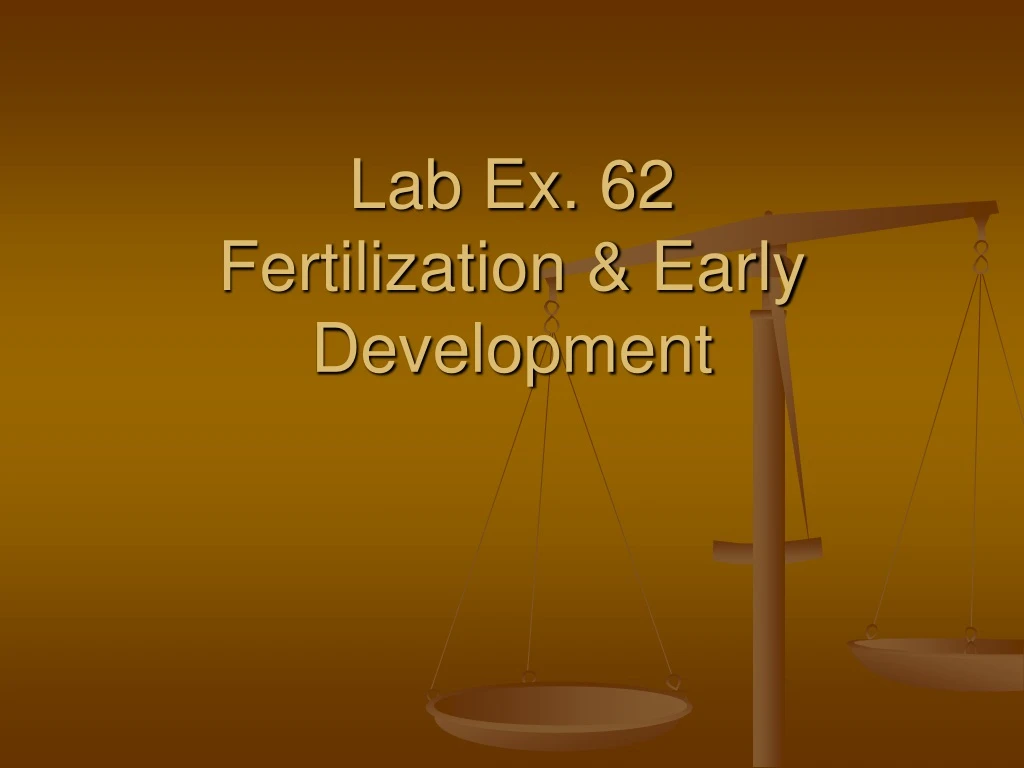 lab ex 62 fertilization early development