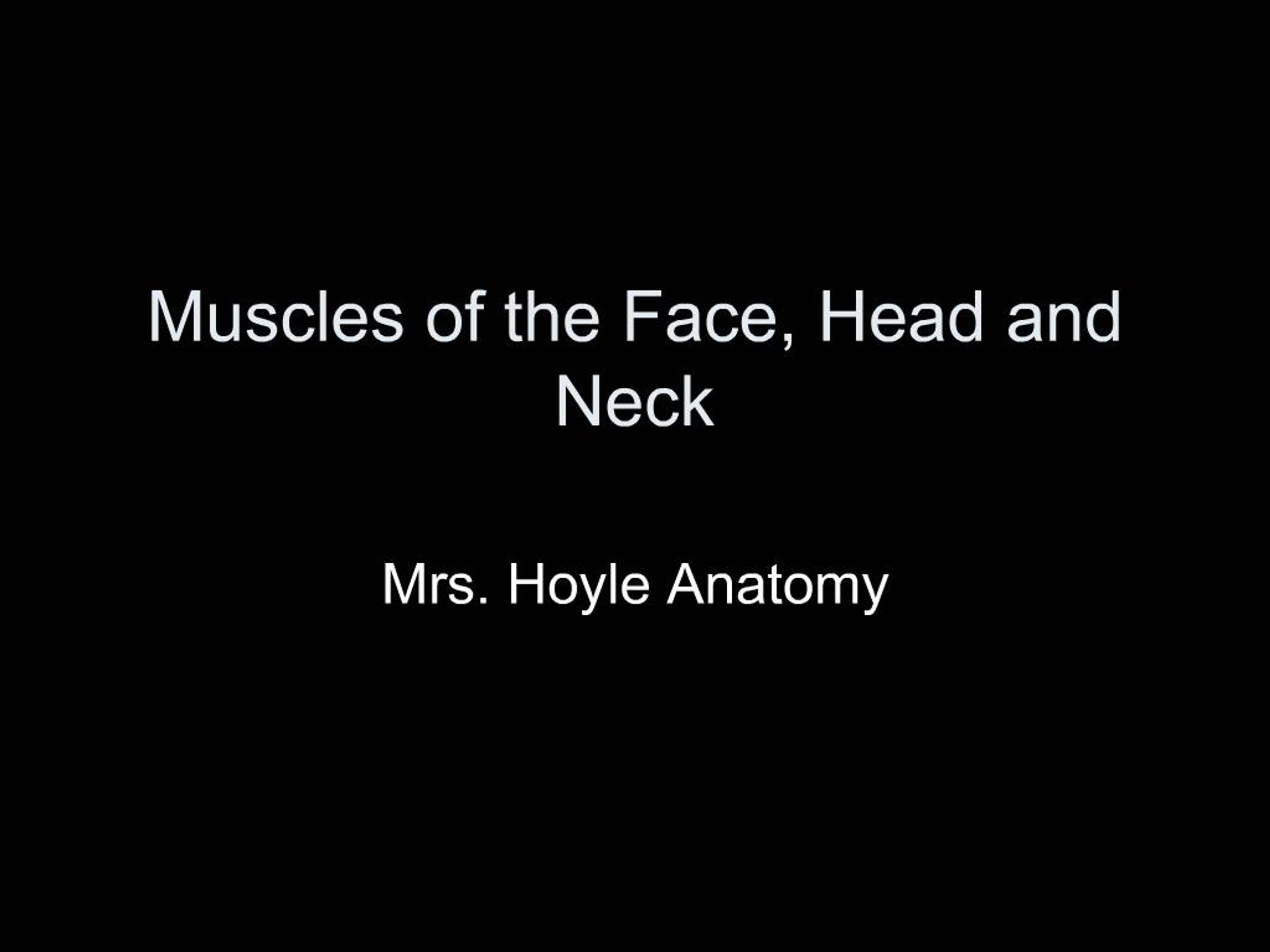 PPT - Muscles of the Face, Head and Neck PowerPoint Presentation, free ...