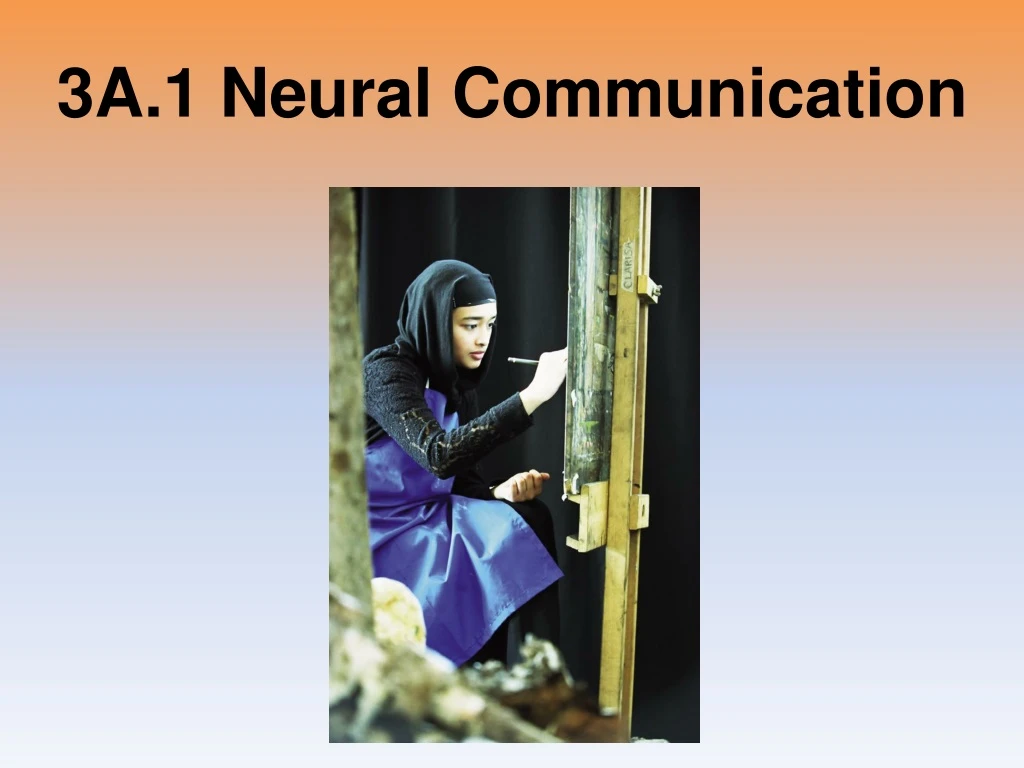 3a 1 neural communication