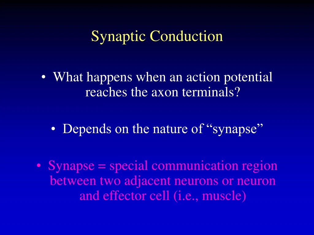 synaptic conduction