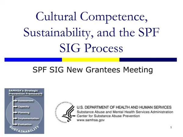 Cultural Competence, Sustainability, and the SPF SIG Process