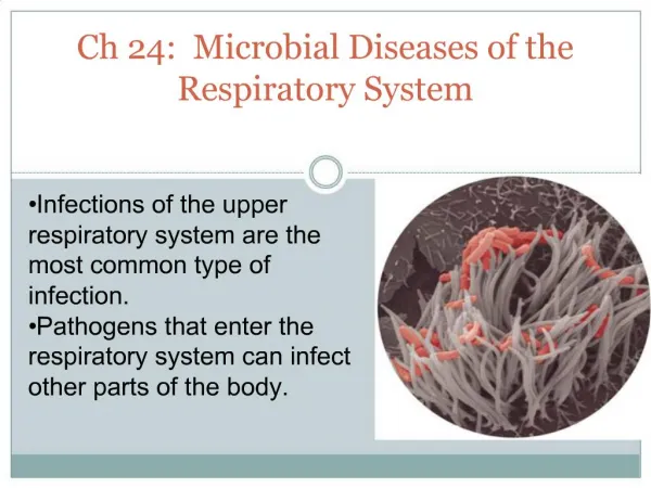 Ch 24: Microbial Diseases of the Respiratory System