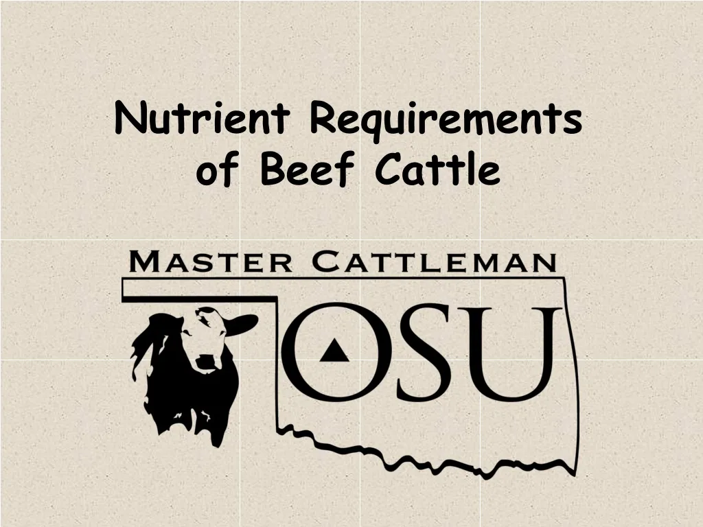 nutrient requirements of beef cattle