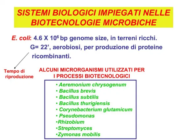 SISTEMI BIOLOGICI IMPIEGATI NELLE BIOTECNOLOGIE MICROBICHE