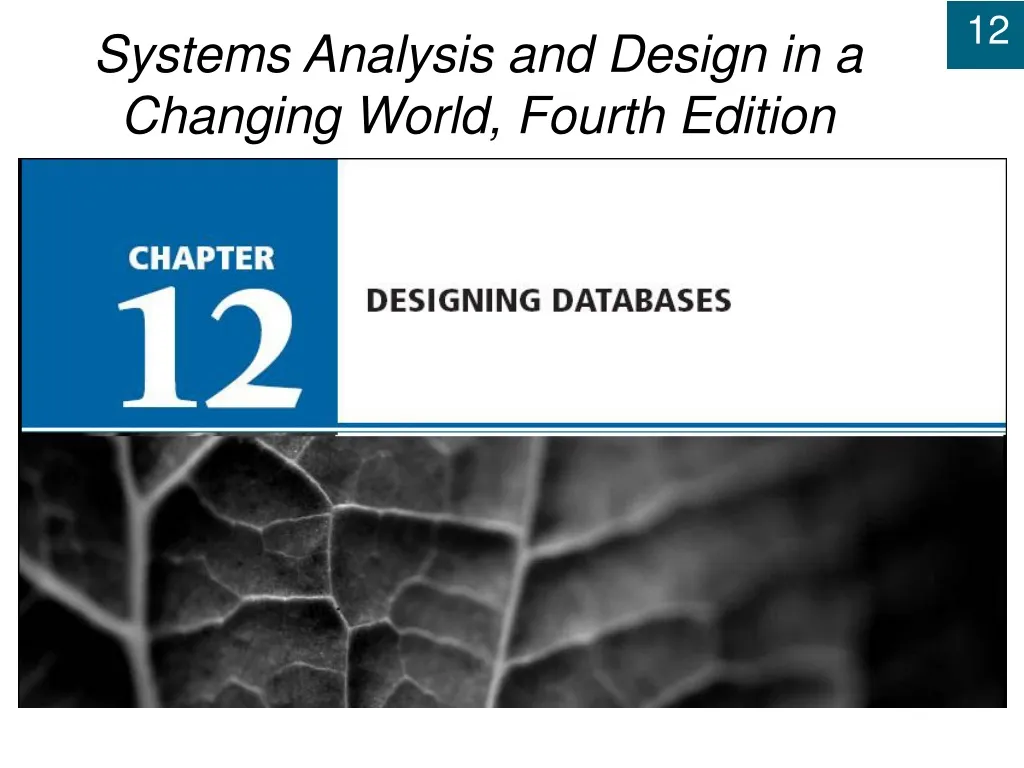 chapter 12 designing databases