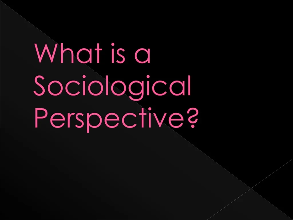 what is a sociological perspective