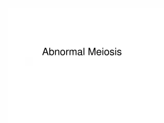 Abnormal Meiosis - slide 1