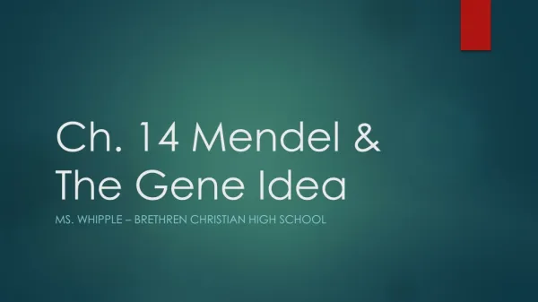 Ch. 14 Mendel &amp; The Gene Idea