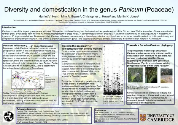Diversity and domestication in the genus Panicum Poaceae