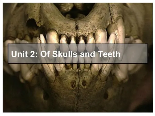 Unit 2: Of Skulls and Teeth