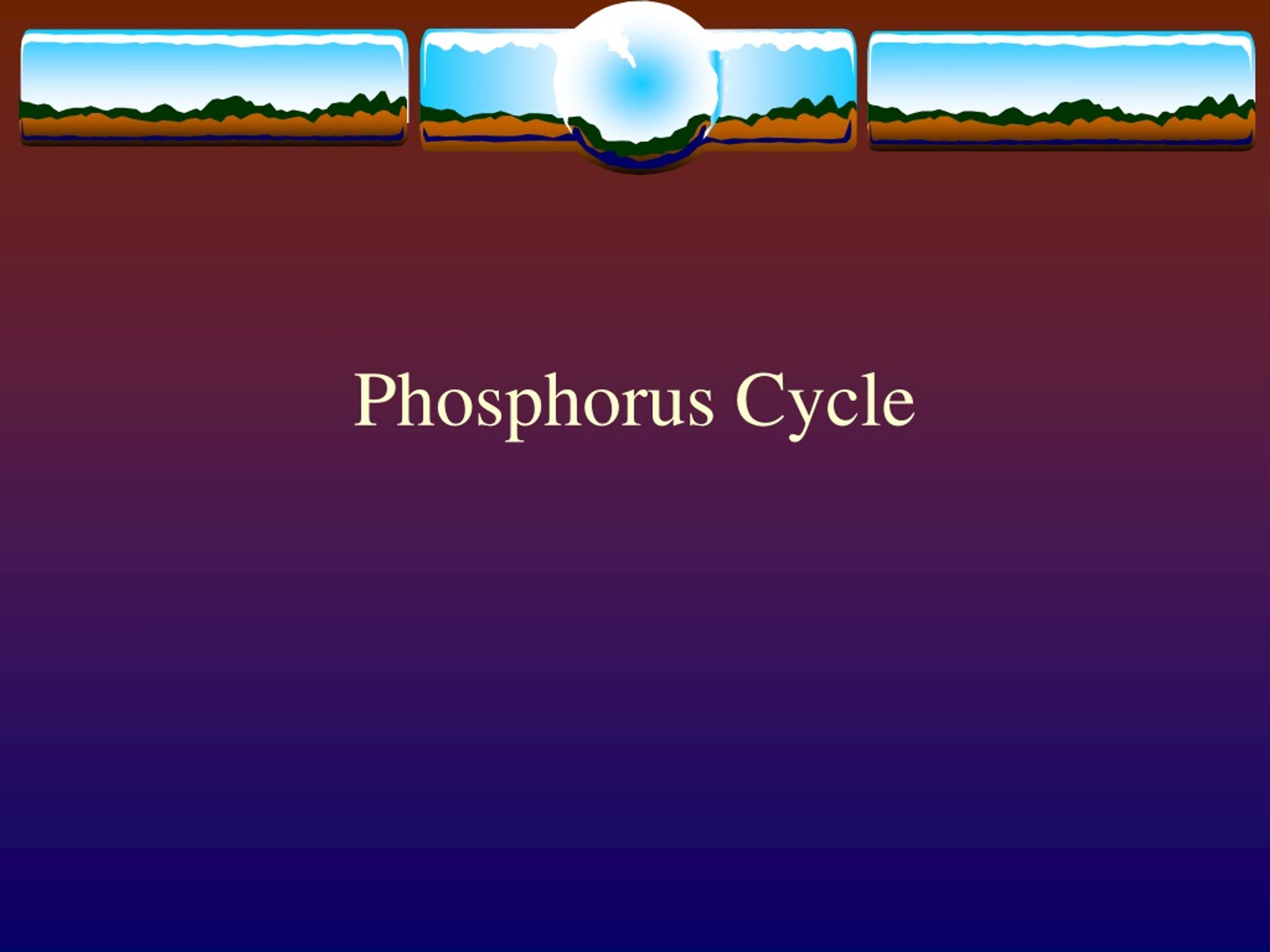 PPT - Phosphorus Cycle PowerPoint Presentation, free download - ID:441795