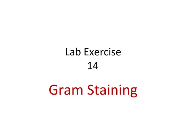 Lab Exercise 14