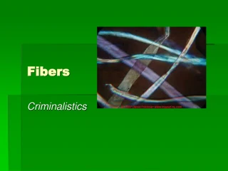 Fibers - slide 1