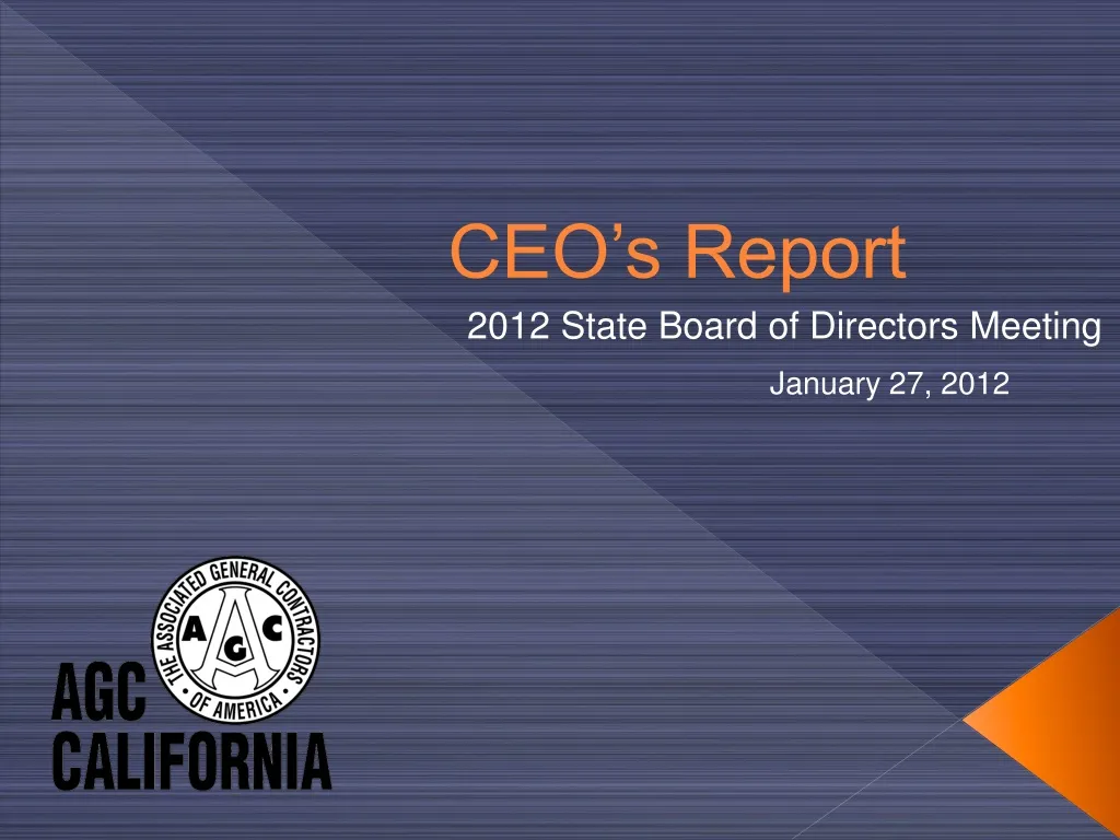 ceo s report