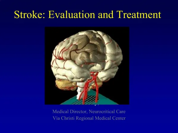 Stroke: Evaluation and Treatment