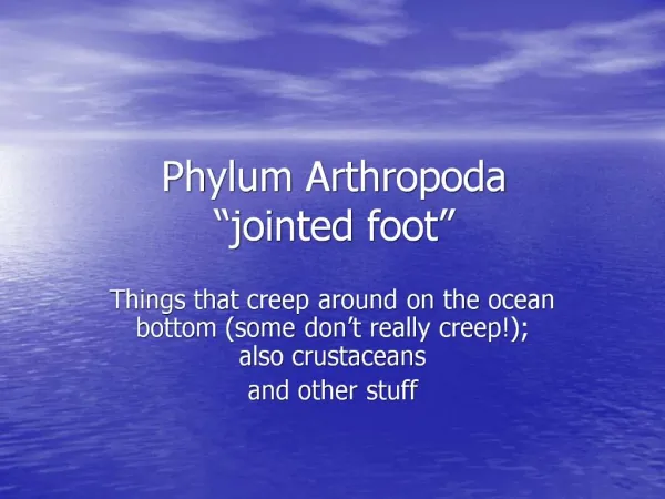 Phylum Arthropoda jointed foot