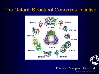 The Ontario Structural Genomics Initiative - slide 1