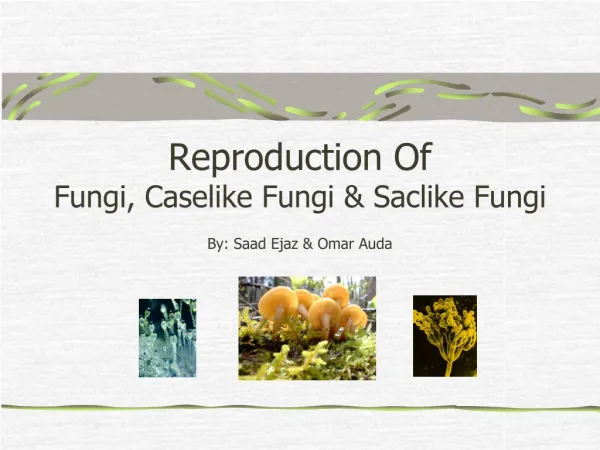 Reproduction Of Fungi, Caselike Fungi &amp; Saclike Fungi