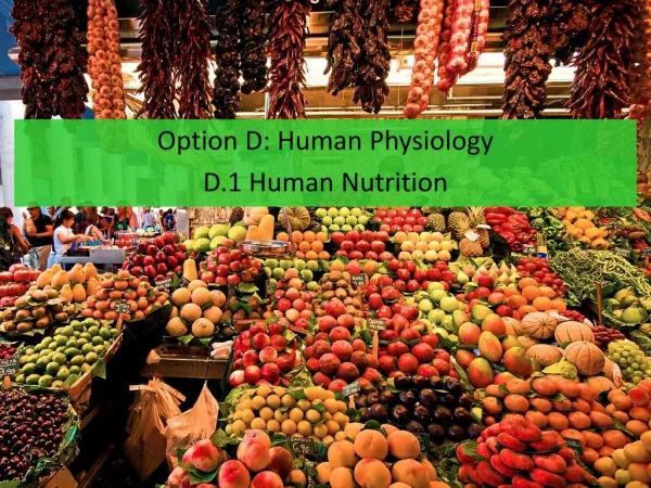 Option D: Human Physiology D.1 Human Nutrition