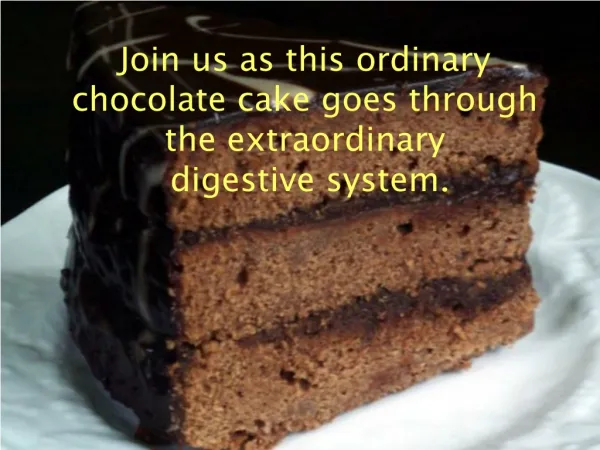 The chocolate cake is now going to go through digestion