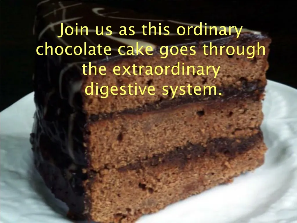 join us as this ordinary chocolate cake goes