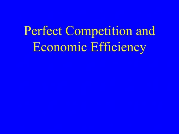 Perfect Competition and Economic Efficiency