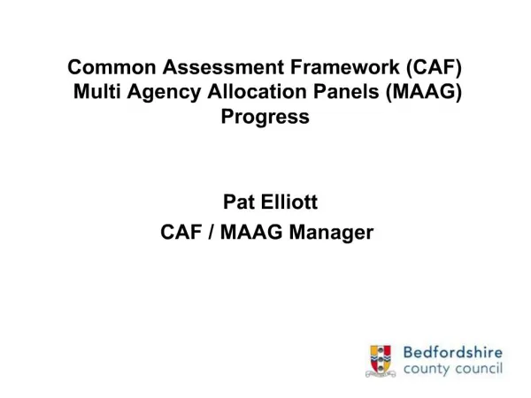 Common Assessment Framework CAF Multi Agency Allocation Panels MAAG Progress