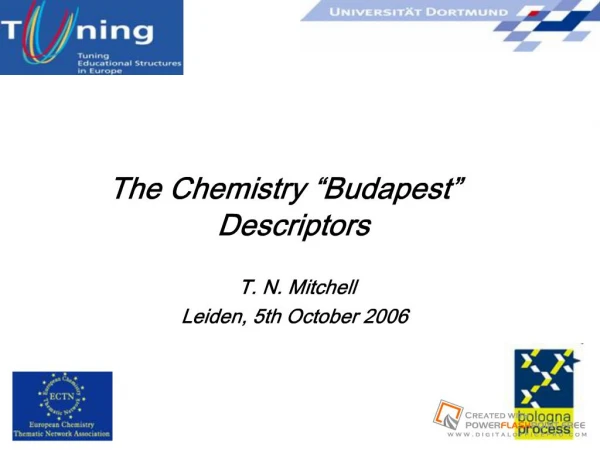 Terence Mitchell JQI Leiden 2006.ppt
