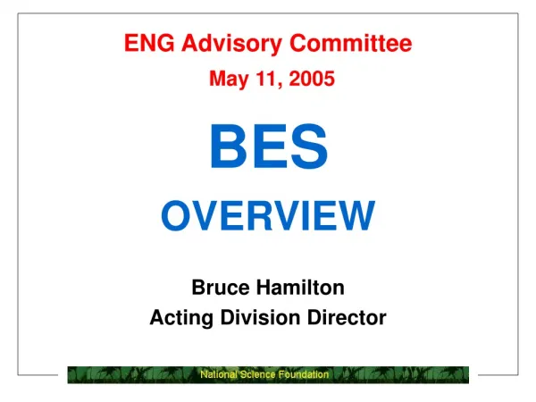 ENG Advisory Committee May 11, 2005