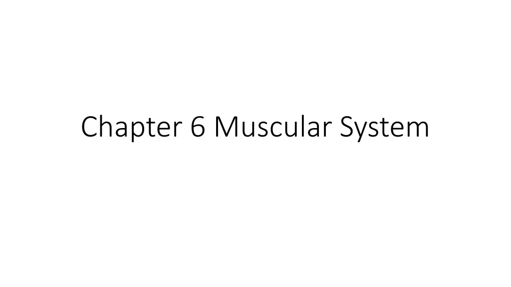chapter 6 muscular system