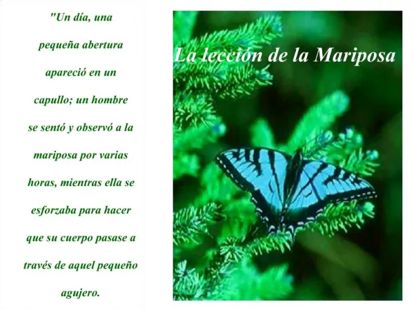 La lecci n de la Mariposa