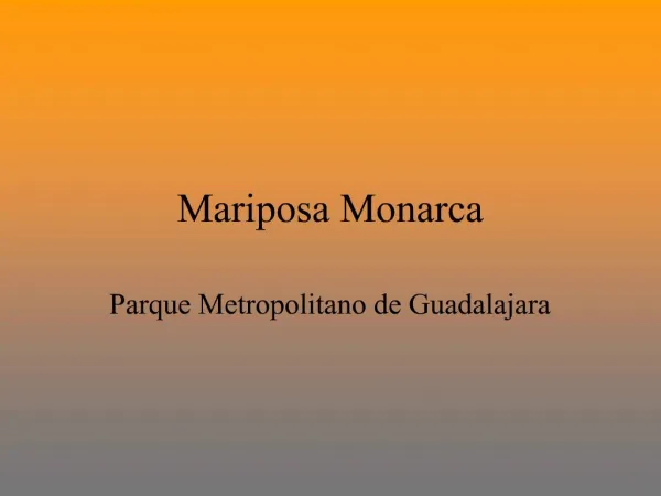 Mariposa Monarca