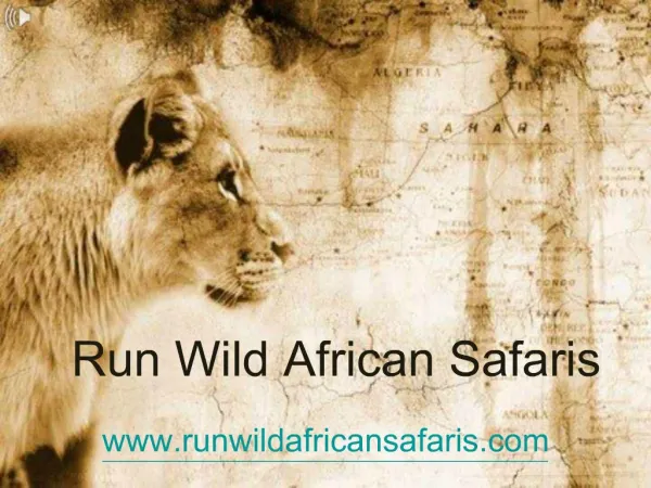 Run Wild African Safaris