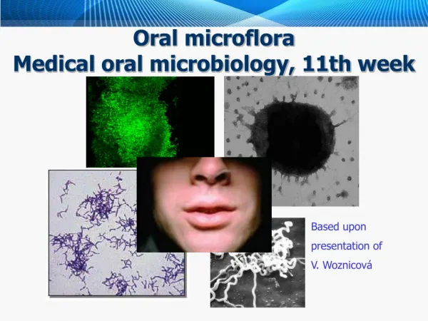 O r al micro fl o ra Medical oral microbiology, 11th week