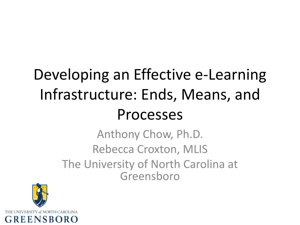 developing an effective e learning infrastructure ends means and processes